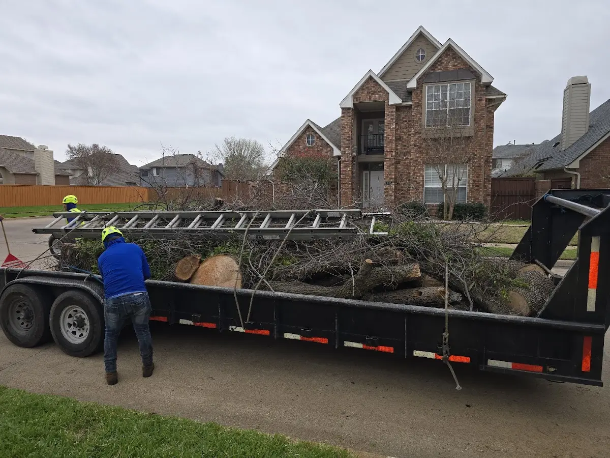 Expert Lot Clearing with proper safety equipment in Fredonia